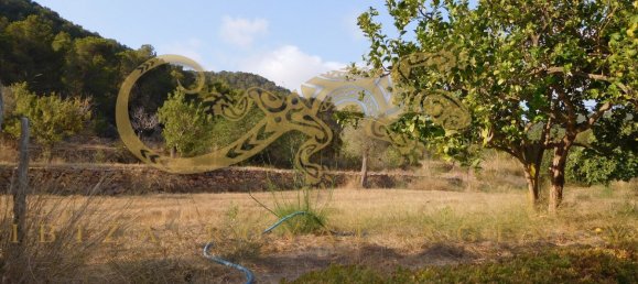 4 chambres Villa à Sant Joan de Labritja, Spain No. 904 6