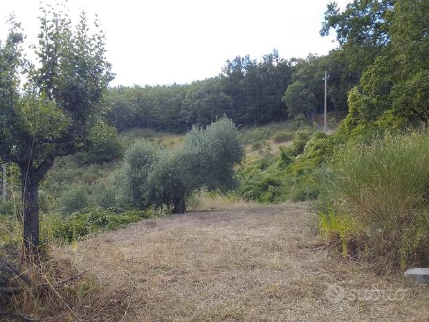  قطعة أرض في Basilicata, Italy 8000متر مربع رقم 300956