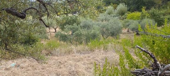  قطعة أرض في Basilicata, Italy 8000متر مربع رقم 300956 2