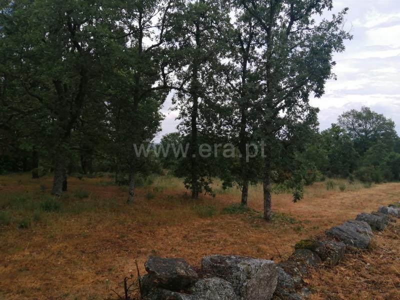 33940m² Land in Casal de Cinza, Portugal No. 231466
