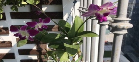 2 bedrooms Apartment in Dong Da, Vietnam No. 1966 6