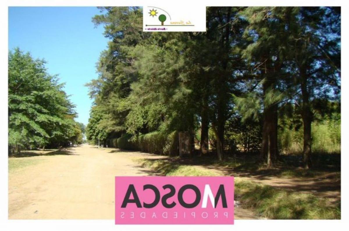  Land in Moreno, Argentina No. 40006