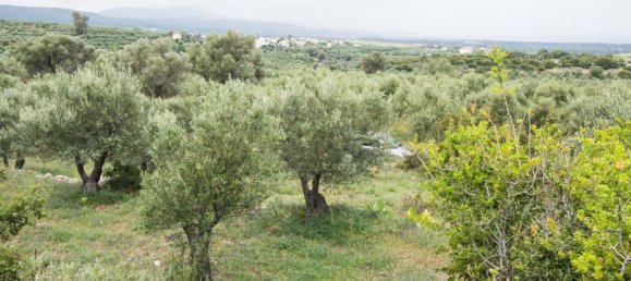 16000m² Hotel in Rethymno, Greece No. 5125 2