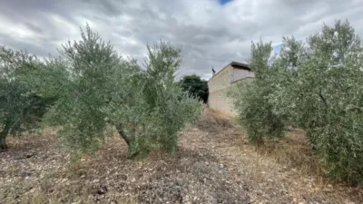  Land in Zaragoza, Spain No. 266870