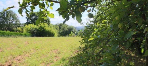 Terrain à Puy-l'Evêque, France 800m² No. 106357 3