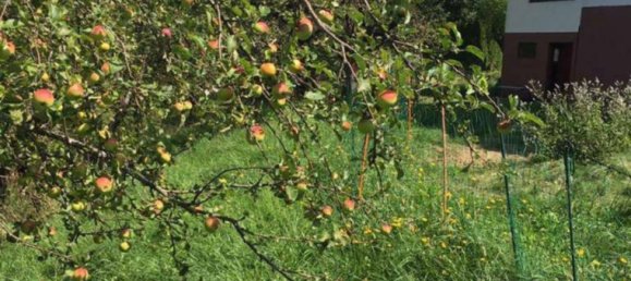 5-Zimmer Haus in St. Margareten im Rosental, Austria, Nr. 249253 16