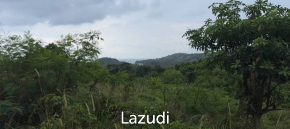  Commercial property in Bang Tao, Thailand No. 14343 4