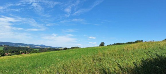 Terrain à Maria Anzbach, Austria 34186m² No. 147942 2