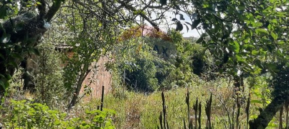 4 غرف نوم منزل في Sao Paio de Oleiros, Portugal رقم 17412 35