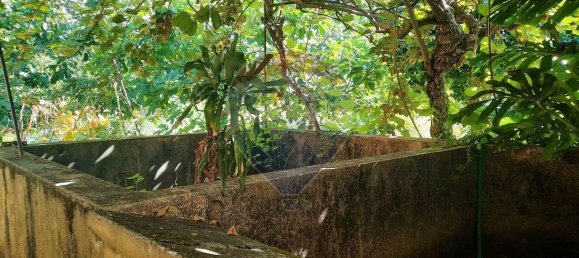 4 غرف نوم منزل في Sao Paio de Oleiros, Portugal رقم 17412 36