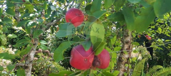 4 غرف نوم منزل في Sao Paio de Oleiros, Portugal رقم 17412 30