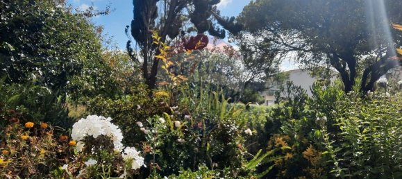 4 غرف نوم منزل في Sao Paio de Oleiros, Portugal رقم 17412 34