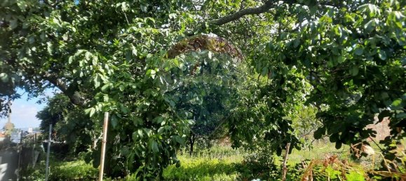 4 غرف نوم منزل في Sao Paio de Oleiros, Portugal رقم 17412 39