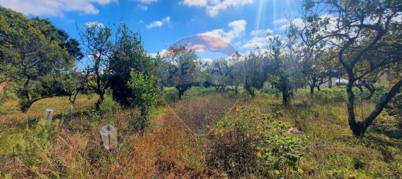 4 غرف نوم منزل في Sao Paio de Oleiros, Portugal رقم 17412 40