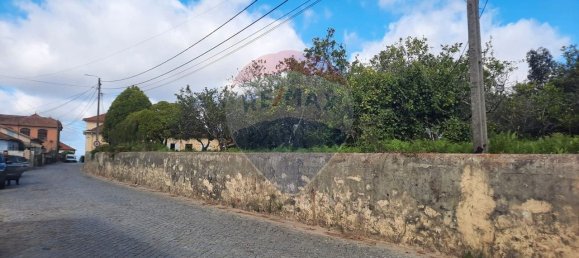 4 غرف نوم منزل في Sao Paio de Oleiros, Portugal رقم 17412 2