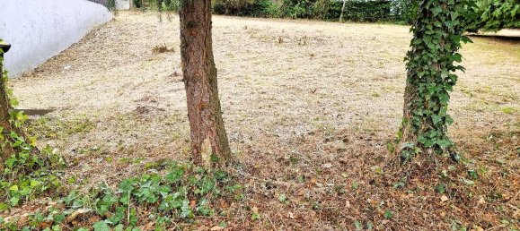 Grundstück in Euskirchen, Germany, Nr. 236824 6