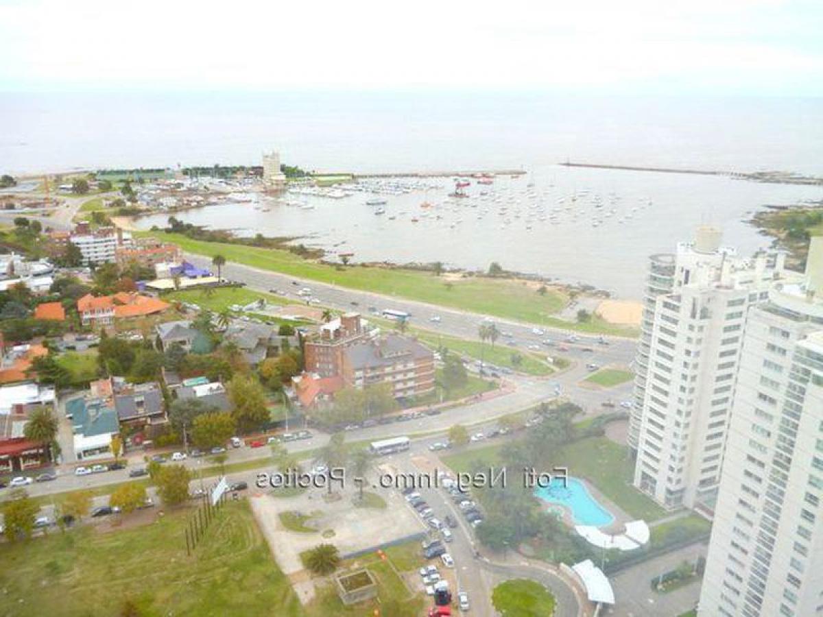  Office in Montevideo, Uruguay No. 13024