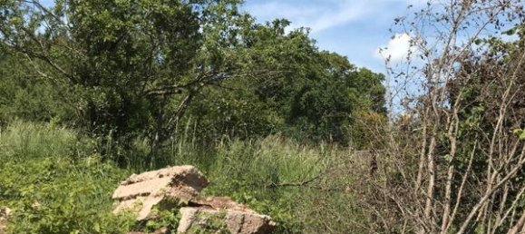 2 bedrooms Land in Kedange-sur-Canner, France No. 92029 5