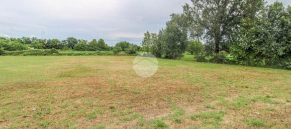 5980m² Land in Fiesco, Italy No. 263460 27