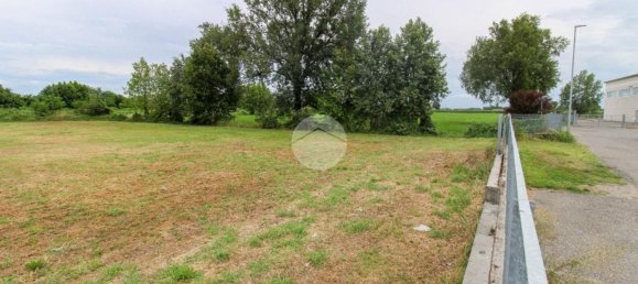 5980m² Land in Fiesco, Italy No. 263460 28