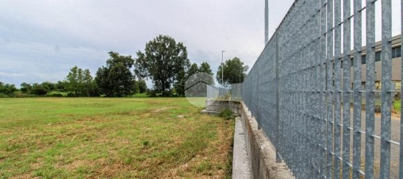 5980m² Land in Fiesco, Italy No. 263460 18