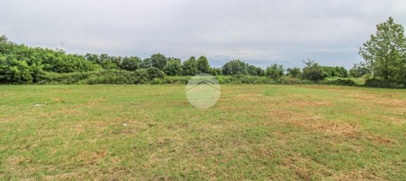 5980m² Land in Fiesco, Italy No. 263460 7