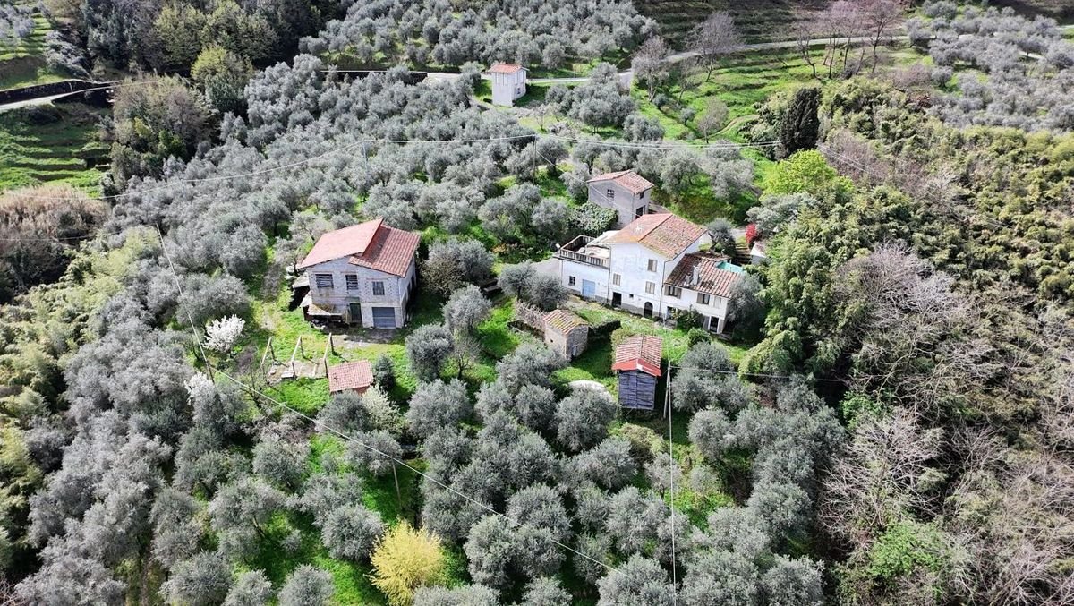28 Schlafzimmer Haus in Lucca, Italy, Nr. 22565