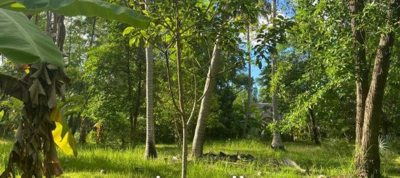  Commercial property in Wiang Sa, Thailand No. 14401 9