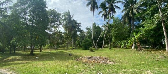  Commercial property in Wiang Sa, Thailand No. 14401 4