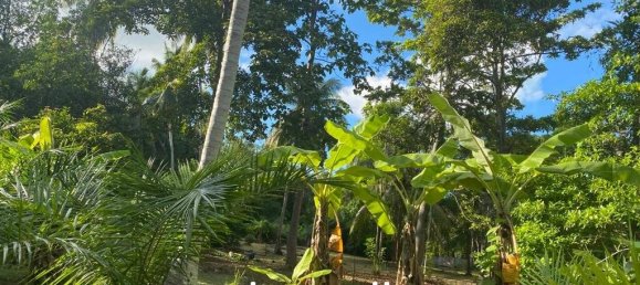  Commercial property in Wiang Sa, Thailand No. 14401 10