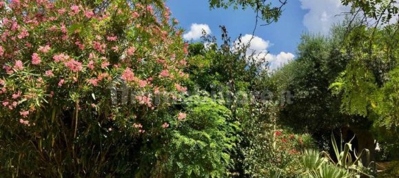 6 Schlafzimmer Villa in Leporano, Italy, Nr. 297949 19