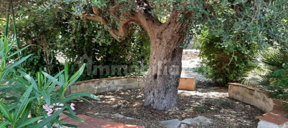 6 Schlafzimmer Villa in Leporano, Italy, Nr. 297949 25