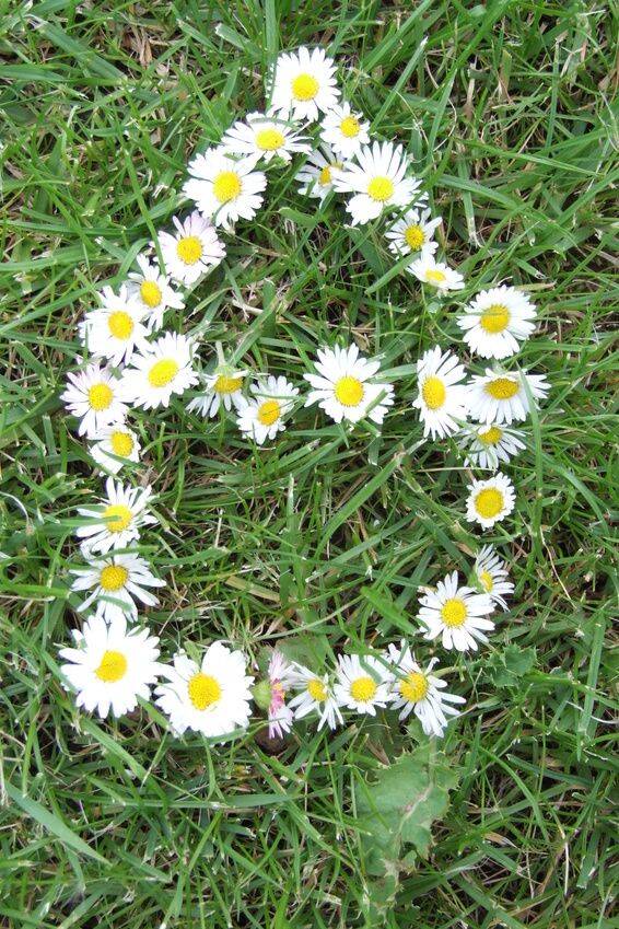  قطعة أرض في Uelzen, Germany رقم 331093