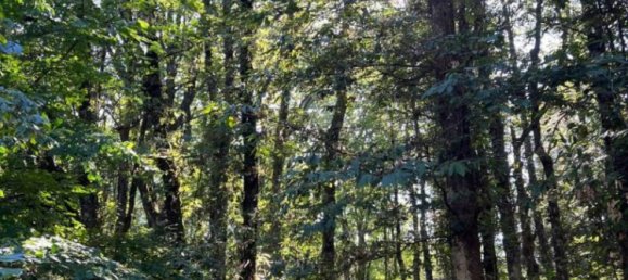 3 bedrooms Apartment in Fiuggi, Italy No. 217831 9