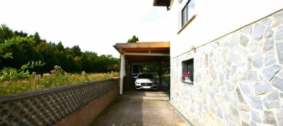 4 غرف نوم بنغالو في Grosswarasdorf, Austria رقم 239244 37