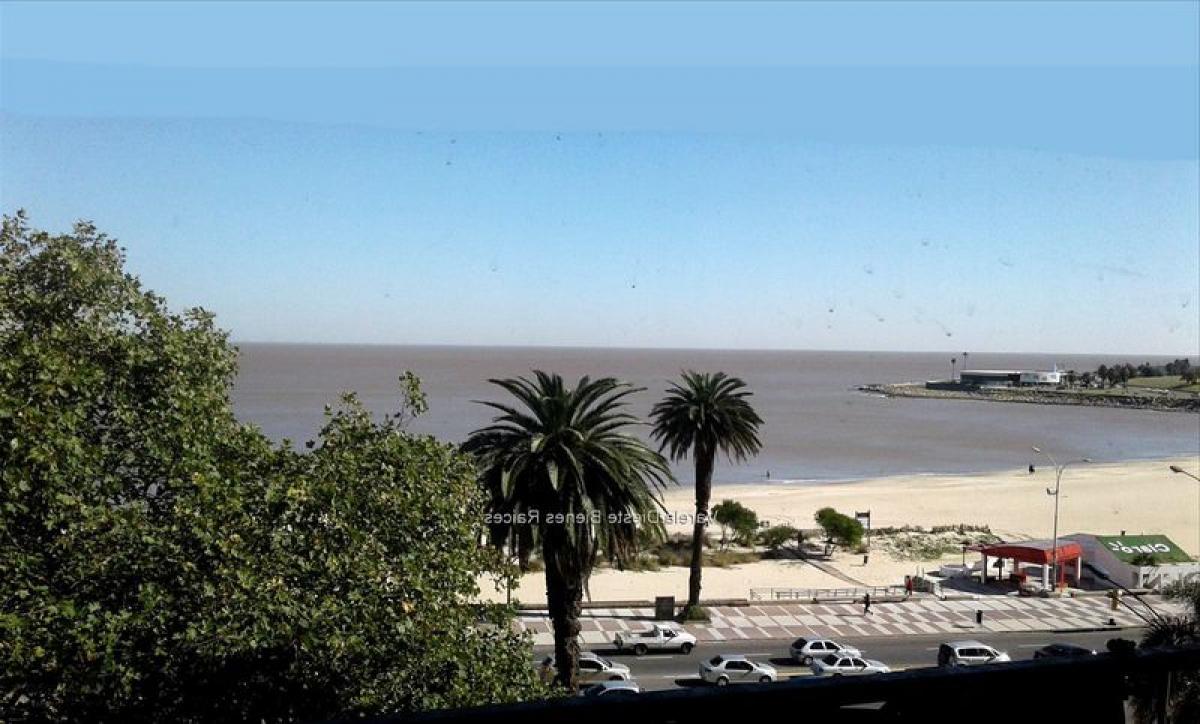 2 bedrooms Apartment in Montevideo, Uruguay No. 6896