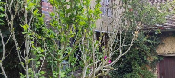 2 chambres Maison à Brezolles, France No. 261201 4