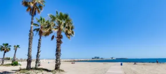 1 bedroom Apartment in Torrevieja, Spain No. 190054 33