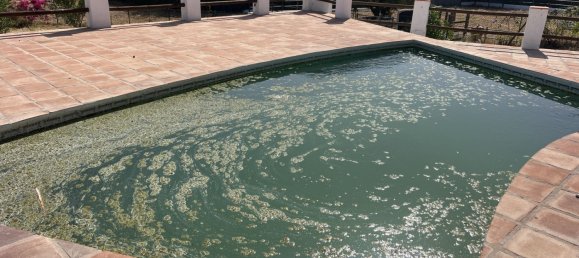 3 Schlafzimmer Haus in La Duquesa, Spain, Nr. 51198 26