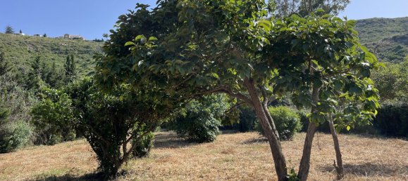 3 Schlafzimmer Haus in La Duquesa, Spain, Nr. 51198 21