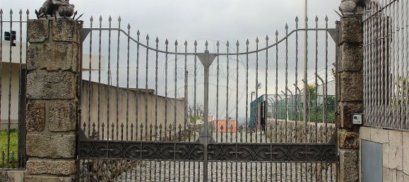 8 Schlafzimmer Haus in Esporoes, Portugal, Nr. 166354 3