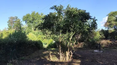 Grundstück in Leobersdorf, Austria, Nr. 250718