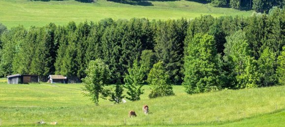 6 bedrooms Townhouse in Traunstein, Germany No. 243771 14