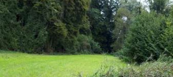  Land in Altotting, Germany No. 156401 5