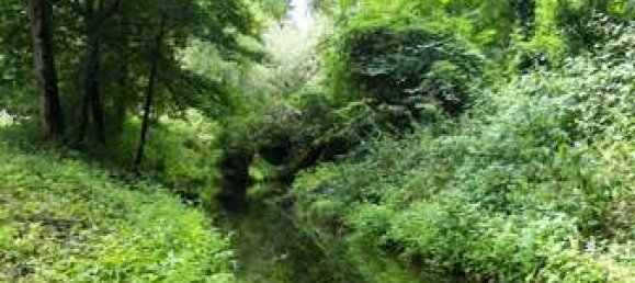  Land in Altotting, Germany No. 156401 6