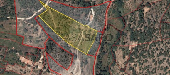 10400m² Land in Monchique, Portugal No. 325856 11