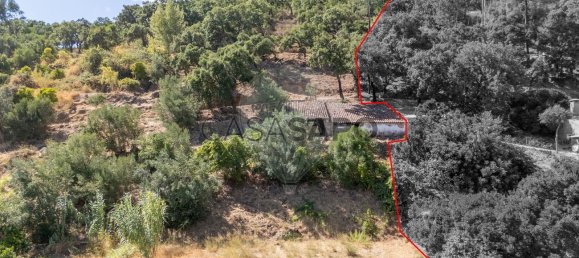 10400m² Land in Monchique, Portugal No. 325856 2