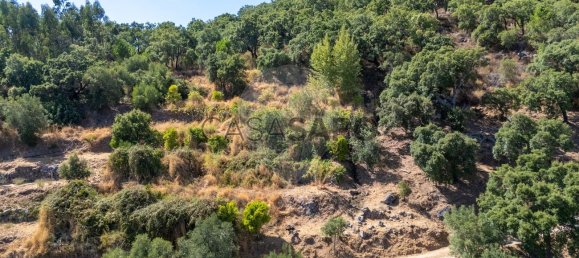 10400m² Land in Monchique, Portugal No. 325856 6