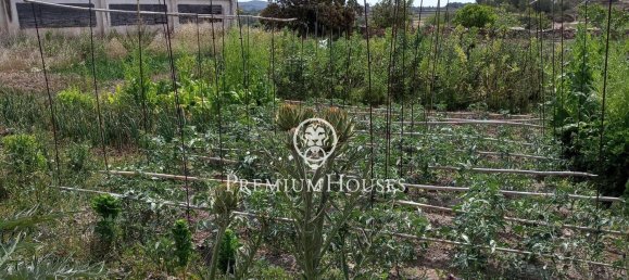  Land in Tarragona, Spain No. 171039 4