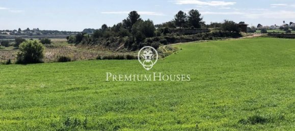  Land in Tarragona, Spain No. 171039 8